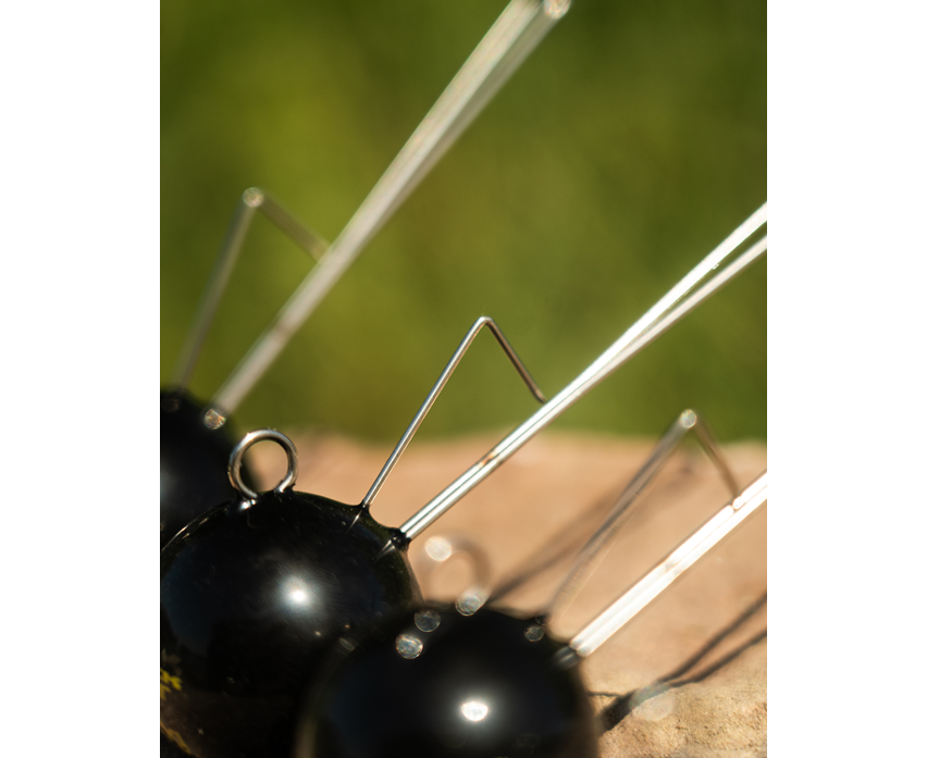 Black Cat Ball Dead or Alive System