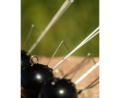 Black Cat Ball Dead or Alive System