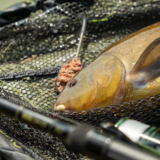 One More Cast FC Net & Mat Combo