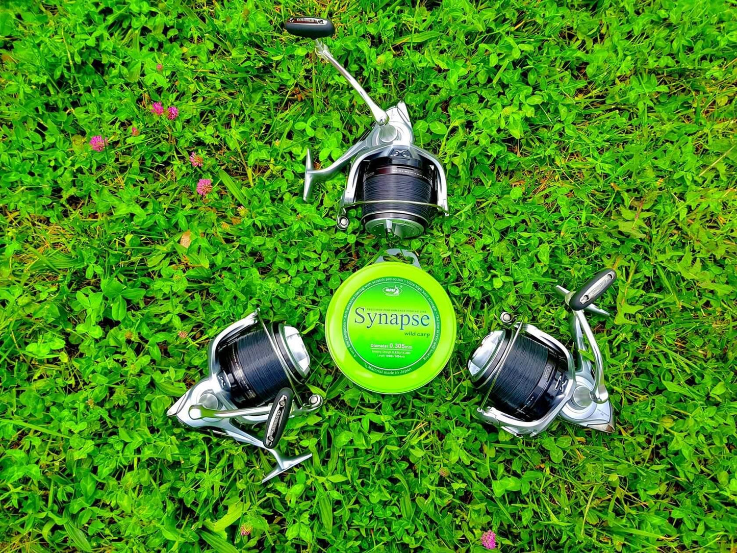 Katran Synapse Wild Carp Fishing Line