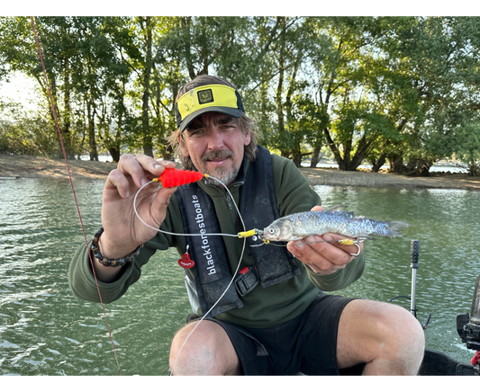 Black Cat Baitfish Tree Rig