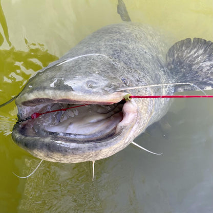 Black Cat Zeus Universal Leader / Fishing Line