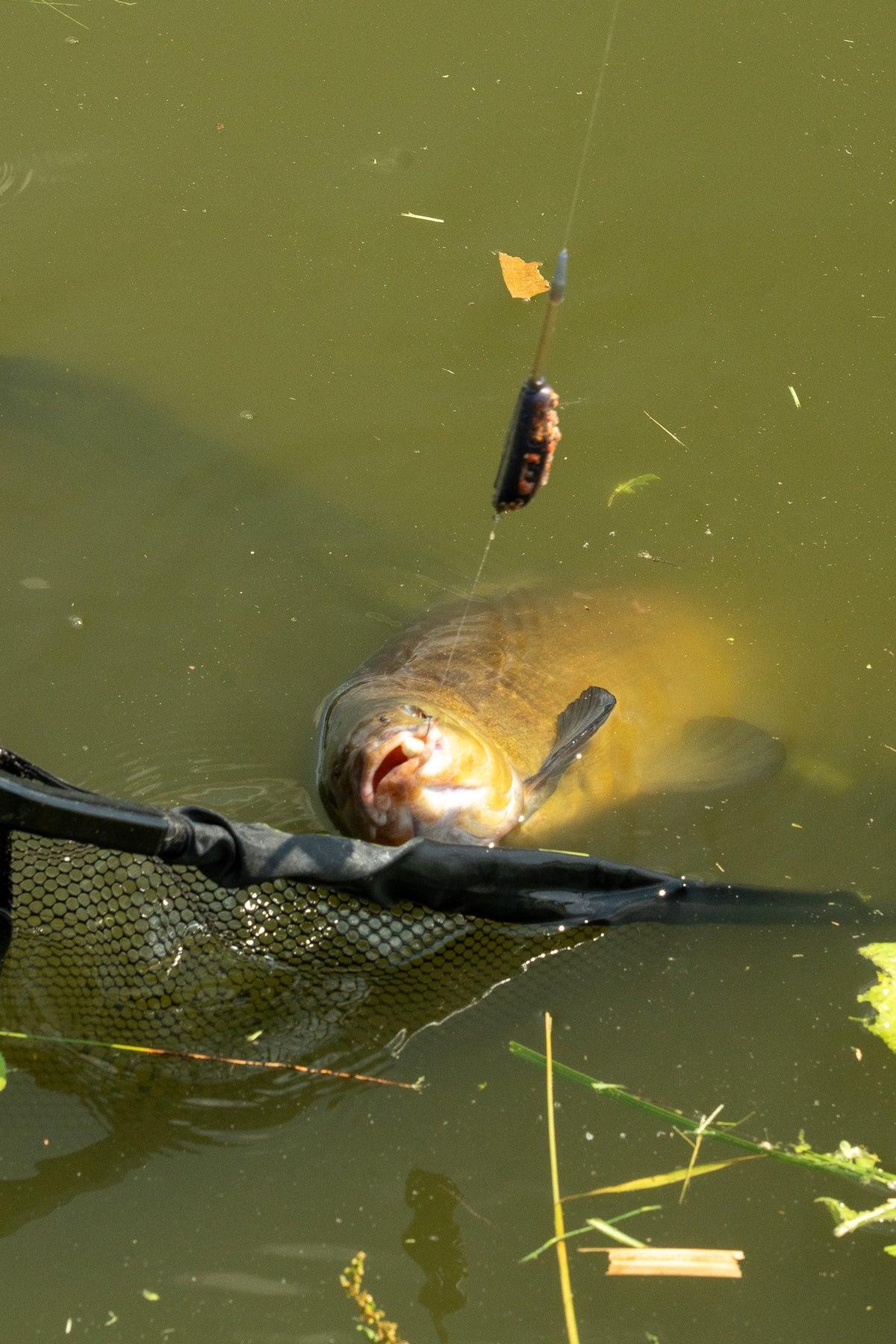 One More Cast FC Net & Mat Combo