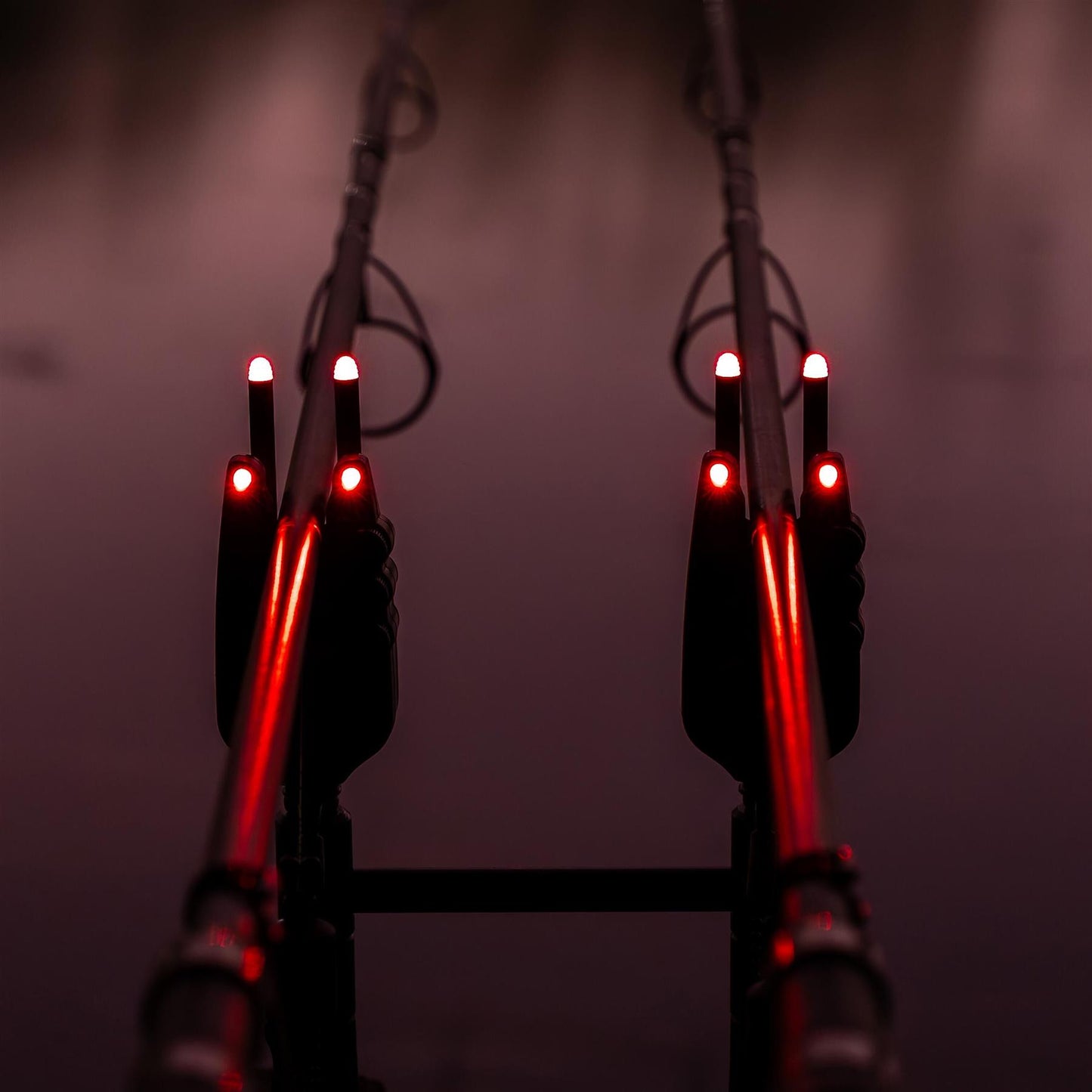Avid VTX+ Illuminated Snag Ears