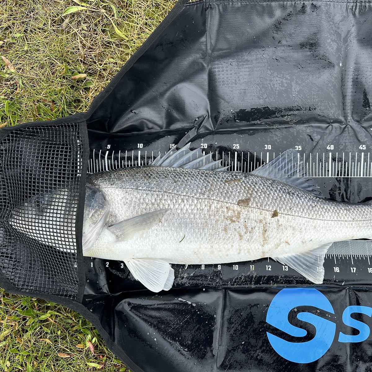 Seadra Weigh & Measure Sling Specimen 120cm