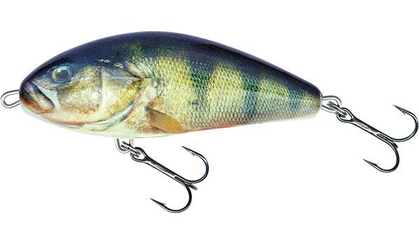 Salmo Fatso Floating Real Perch 14cm 
