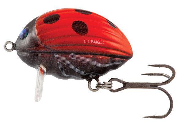 Salmo Lil' Bug Floating Ladybird 3cm