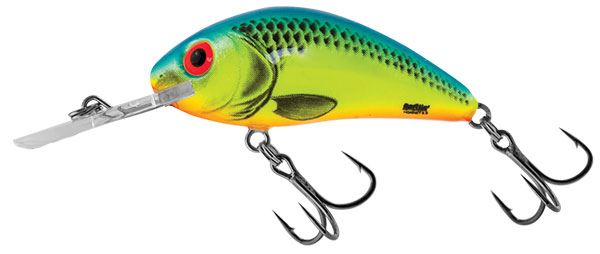 Salmo Rattlin' Hornet Floating 6.5cm