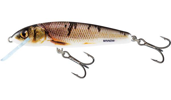 Salmo Minnow Floating Wounded Dace 5cm