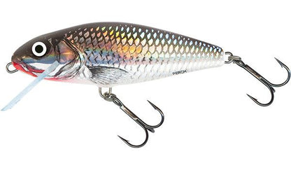 Salmo Holographic Grey Shiner Perch Floating 8cm 