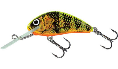 Salmo Hornet Floating Gold Fluo Perch 6cm 