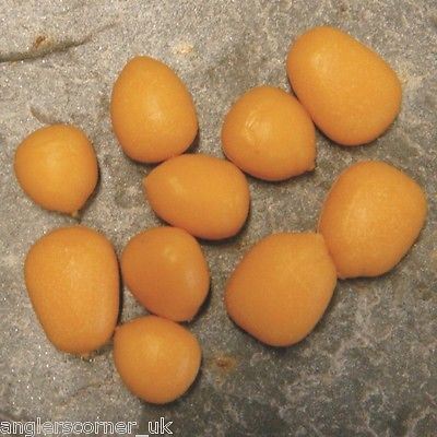 Enterprise Sinking Maize